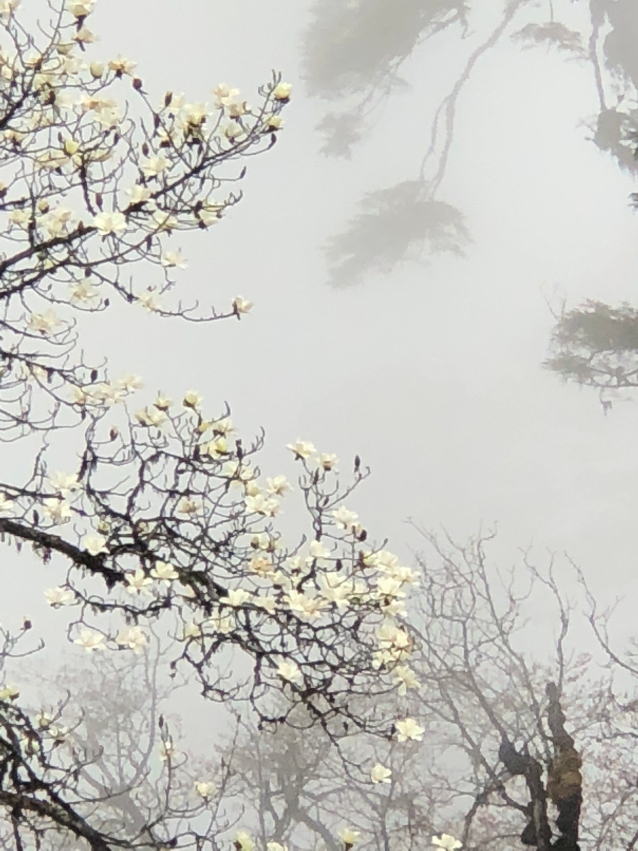 B0AF0920-3331-41ED-AD89-4956806C6D78